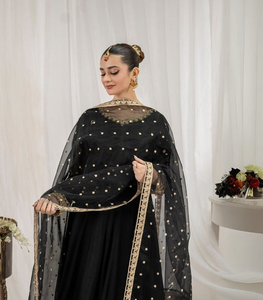 3PC CHIFFON PISHWAS JET BLACK